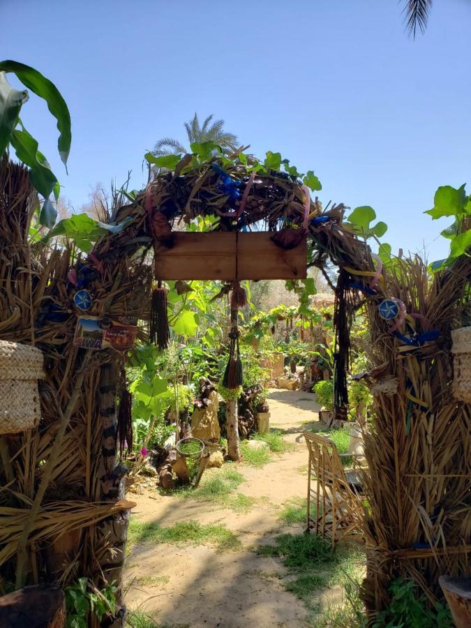 Отель Mountain Camp Ali Khaled Siwa Oasis Экстерьер фото