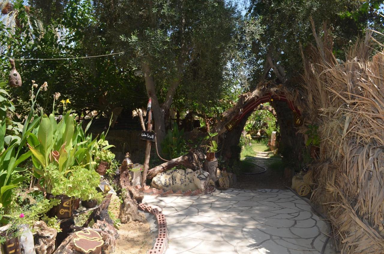 Отель Mountain Camp Ali Khaled Siwa Oasis Экстерьер фото