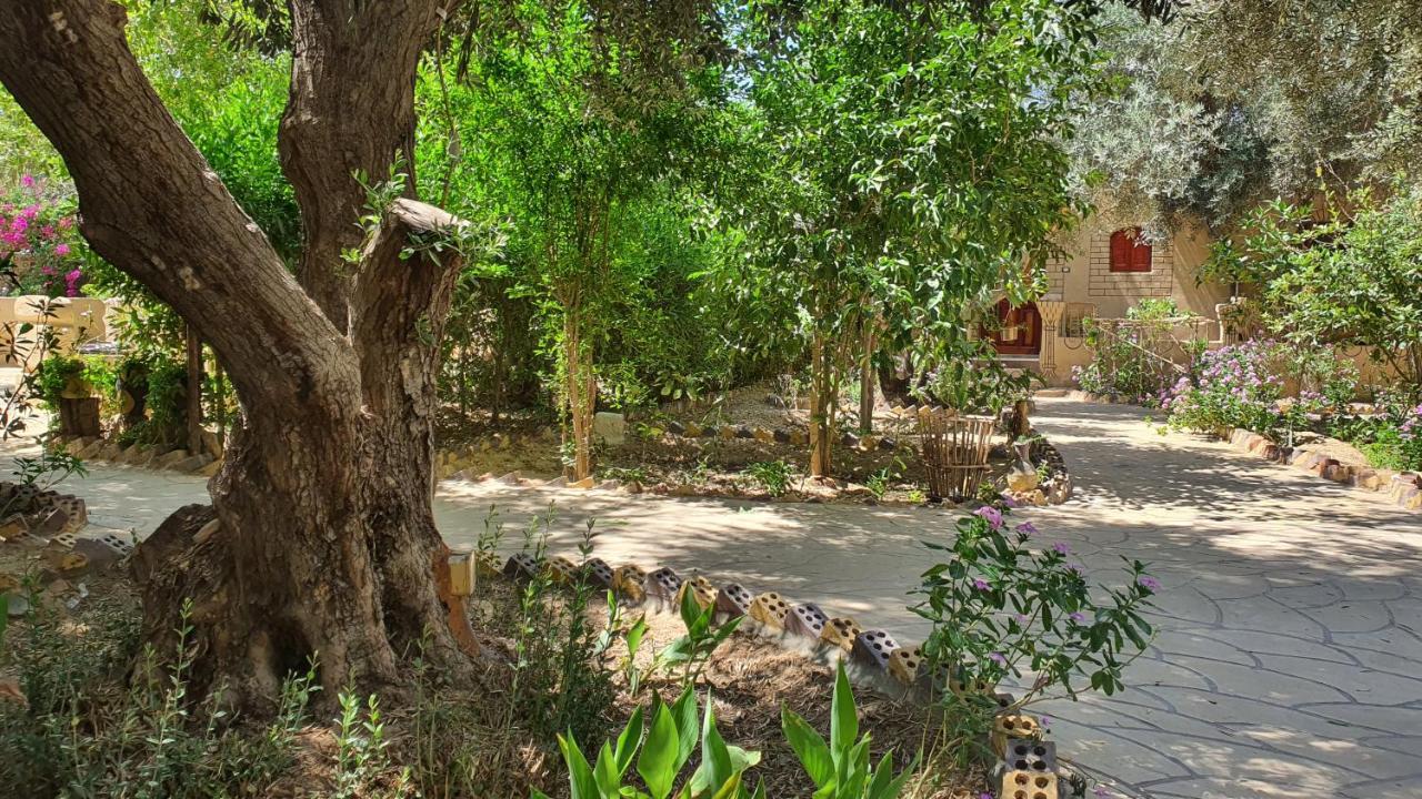 Отель Mountain Camp Ali Khaled Siwa Oasis Экстерьер фото