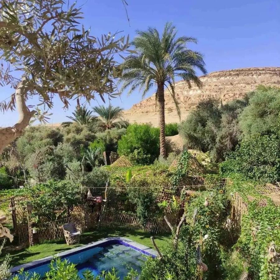 Отель Mountain Camp Ali Khaled Siwa Oasis Экстерьер фото